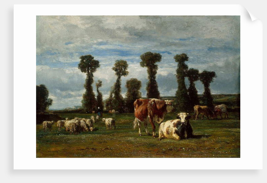 Pasture in Normandy, 1852 by Constant-Emile Troyon