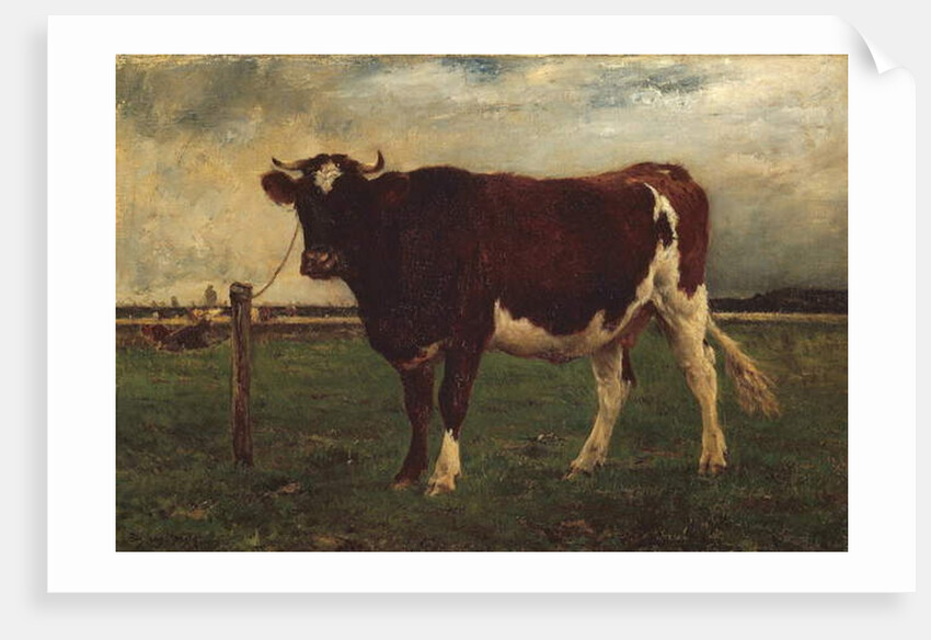 Study of a Cow, 1870-90 by Emile van Marcke de Lummen