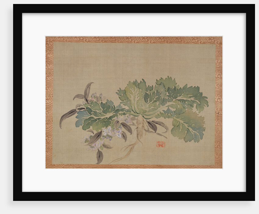 A tuberose, 1851 by Tsubaki Chinzan