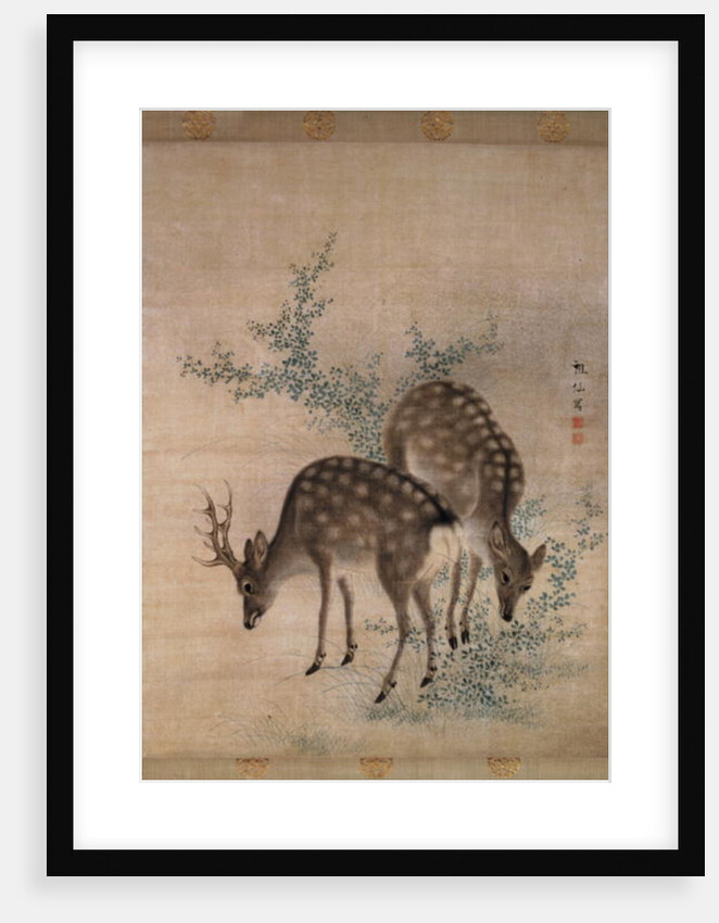 Deer grazing, c.1790 by Sosen Mori