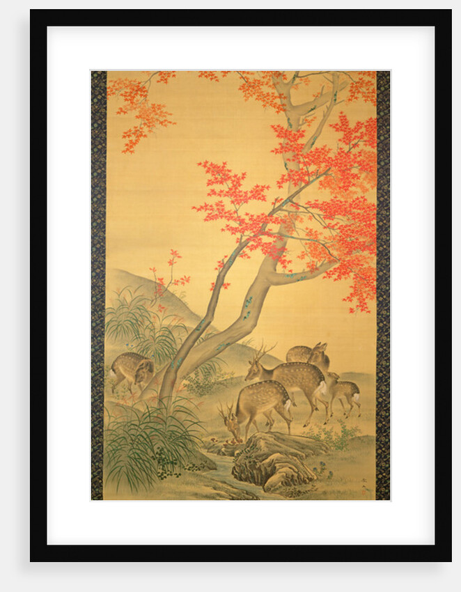 Deer under a maple tree by Tetsuzan Mori