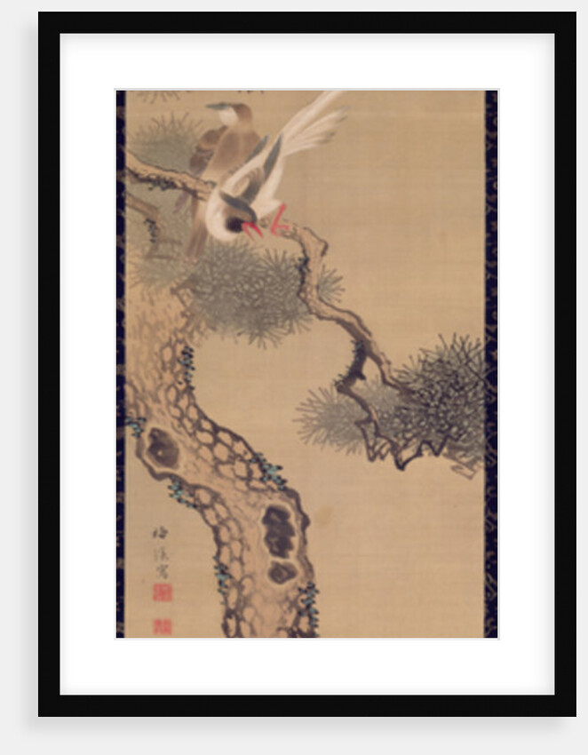 Long-tailed birds in pine tree, c.1800 by Ariwara Baikei