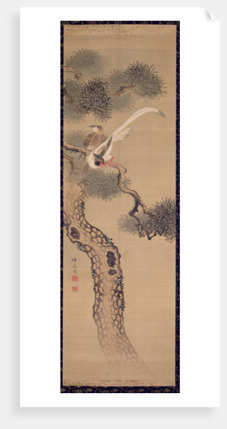 Long-tailed birds in pine tree, c.1800 by Ariwara Baikei
