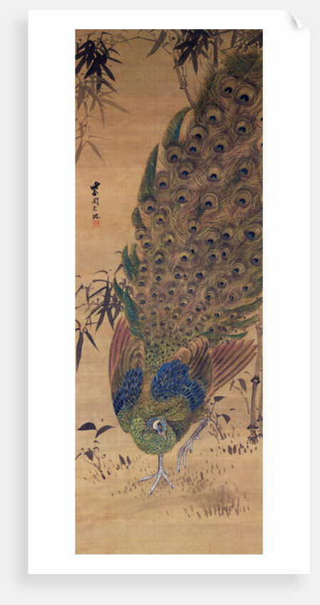 Peacock and bamboo by Japanese School