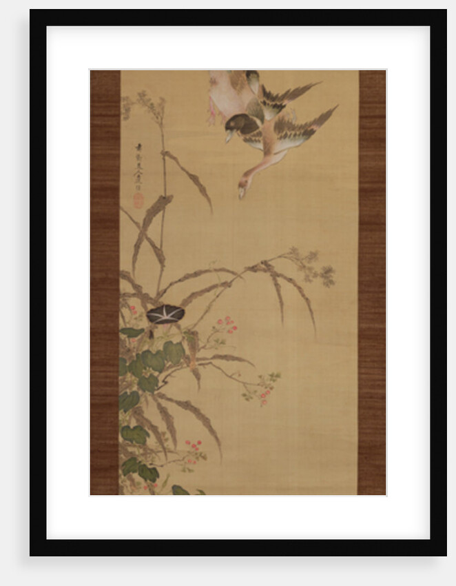 Ducks, flowers and grasses, c.1800-22 by Gentai Sanjin