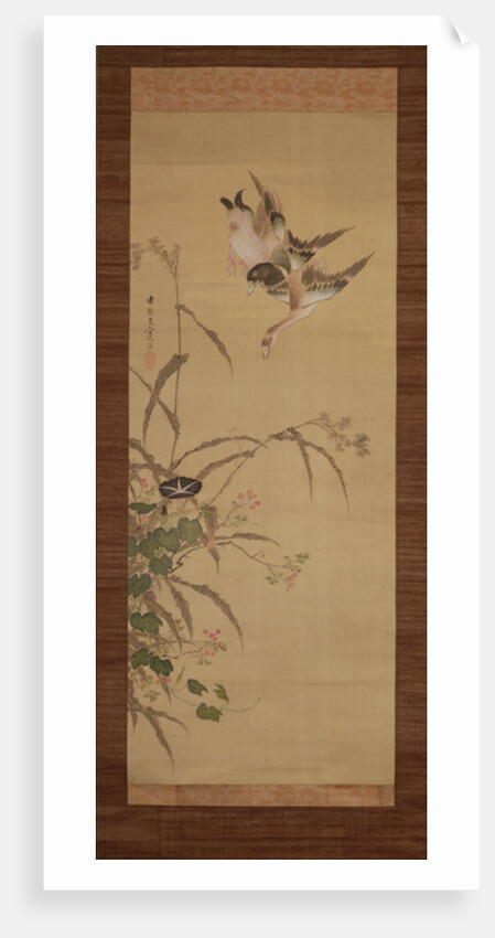 Ducks, flowers and grasses, c.1800-22 by Gentai Sanjin