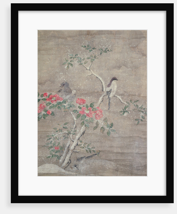 Birds and camelia in snow, c.1700 by Ogawa Haritsu