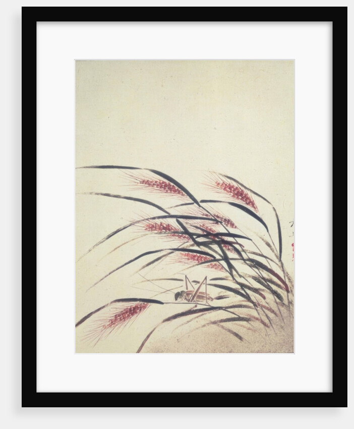 Ears of rice and cricket by Shibata Zeshin