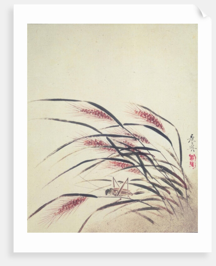 Ears of rice and cricket by Shibata Zeshin