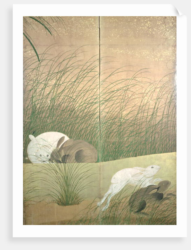 Hares and autumn grasses, c.1700 by Japanese School