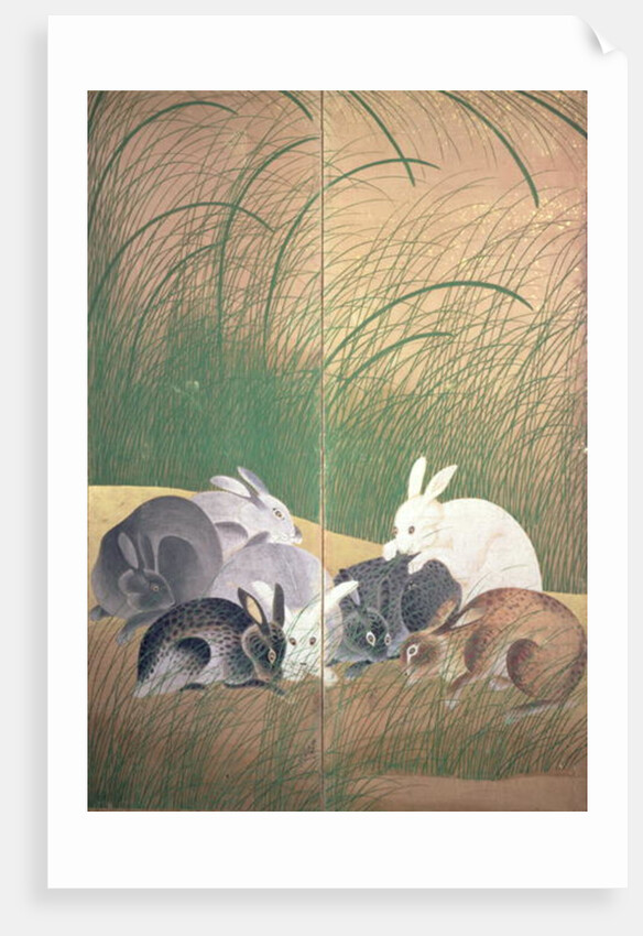 Hares and autumn grasses, c.1700 by Japanese School