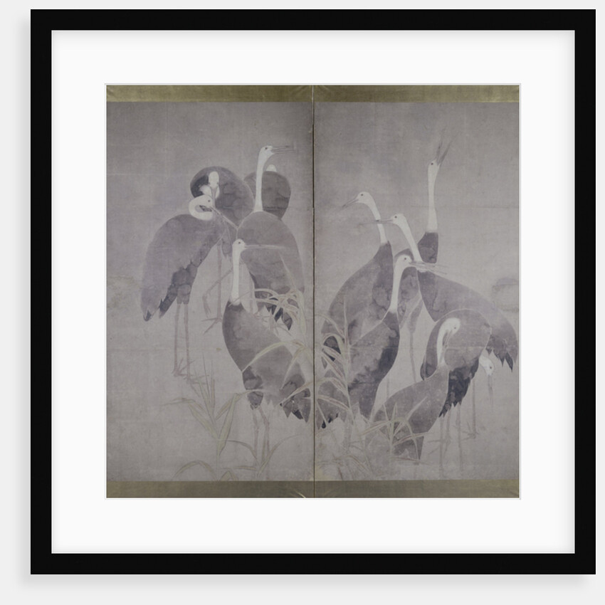 Eleven female cranes standing in dry reed bed, c.1700-50 by Ogata Korin