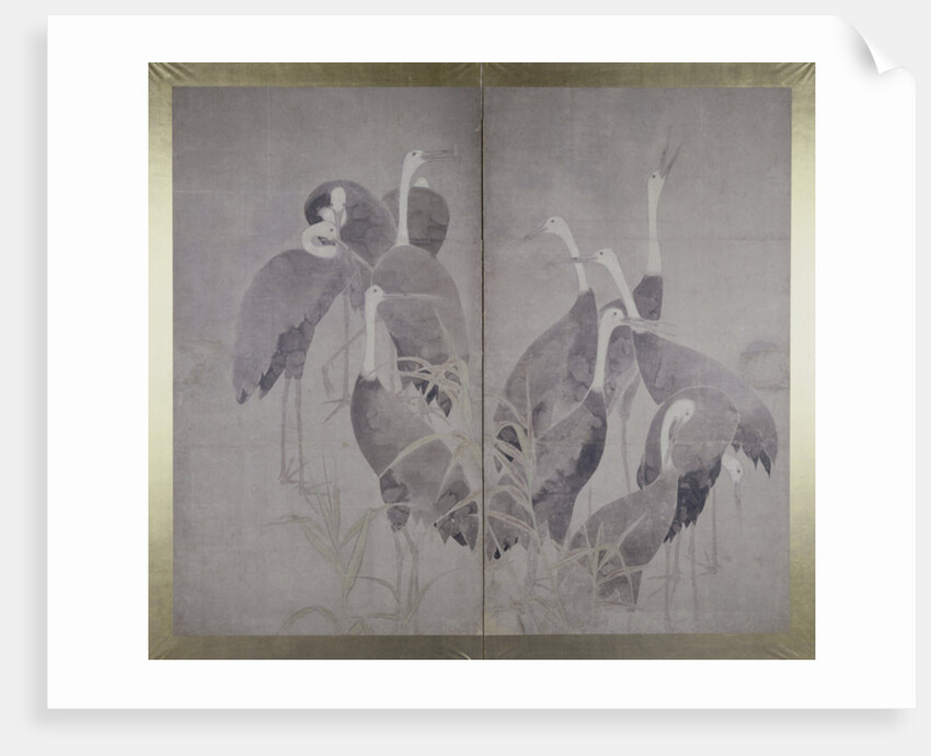 Eleven female cranes standing in dry reed bed, c.1700-50 by Ogata Korin