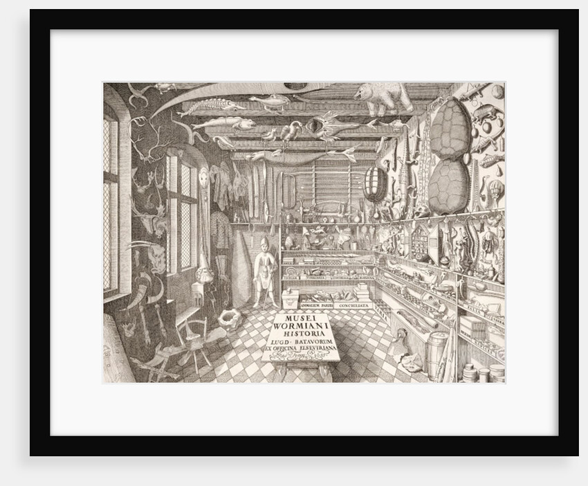 Museum of Ole Worm, Leiden, 1655 by G. Wingendorp