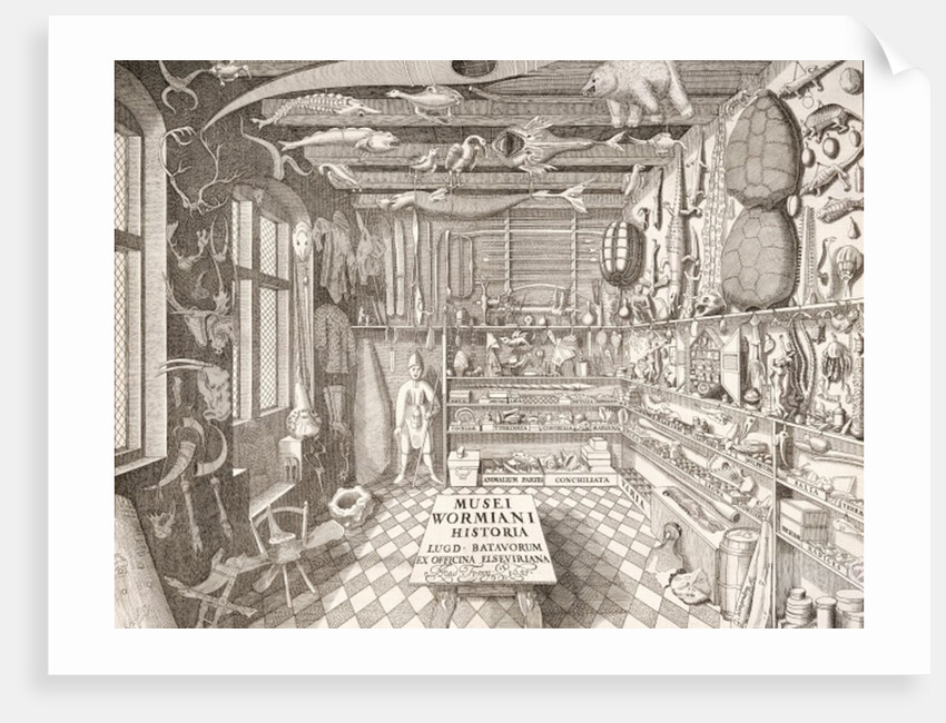 Museum of Ole Worm, Leiden, 1655 by G. Wingendorp