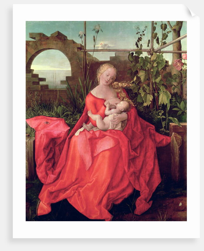 Virgin and Child 'Madonna with the Iris', 1508 by Albrecht Durer or Duerer
