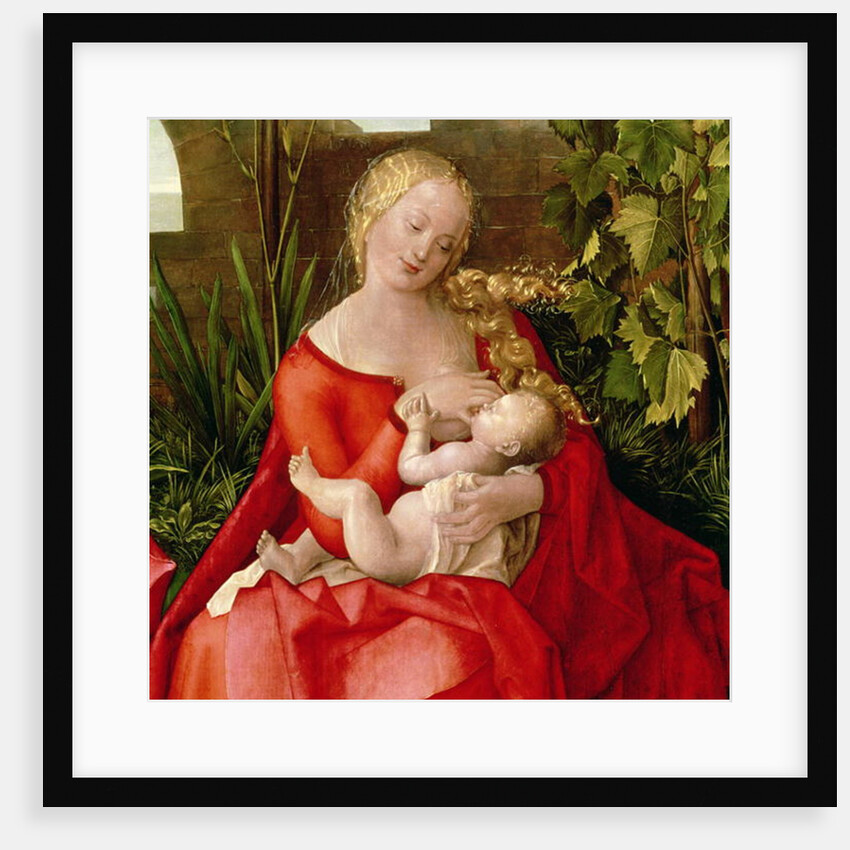 Virgin and Child 'Madonna with the Iris', 1508 by Albrecht Durer or Duerer