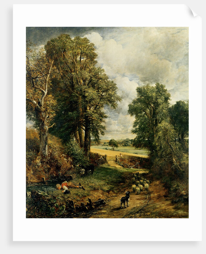 The Cornfield, 1826 by John Constable