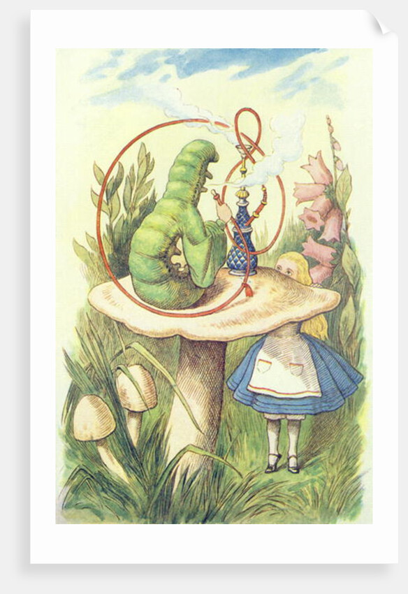 Alice rencontre la chenille, 1865 by John Tenniel