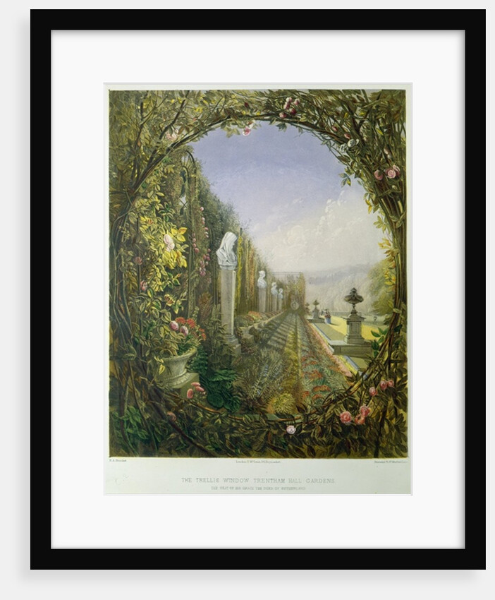 The Trellis Window, Trentham Hall Gardens by E. Adveno Brooke