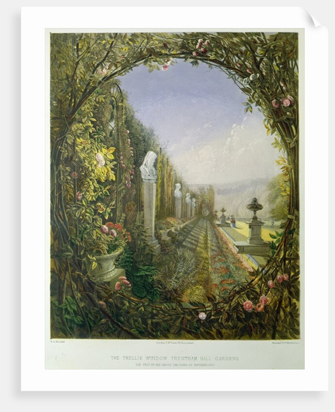 The Trellis Window, Trentham Hall Gardens by E. Adveno Brooke