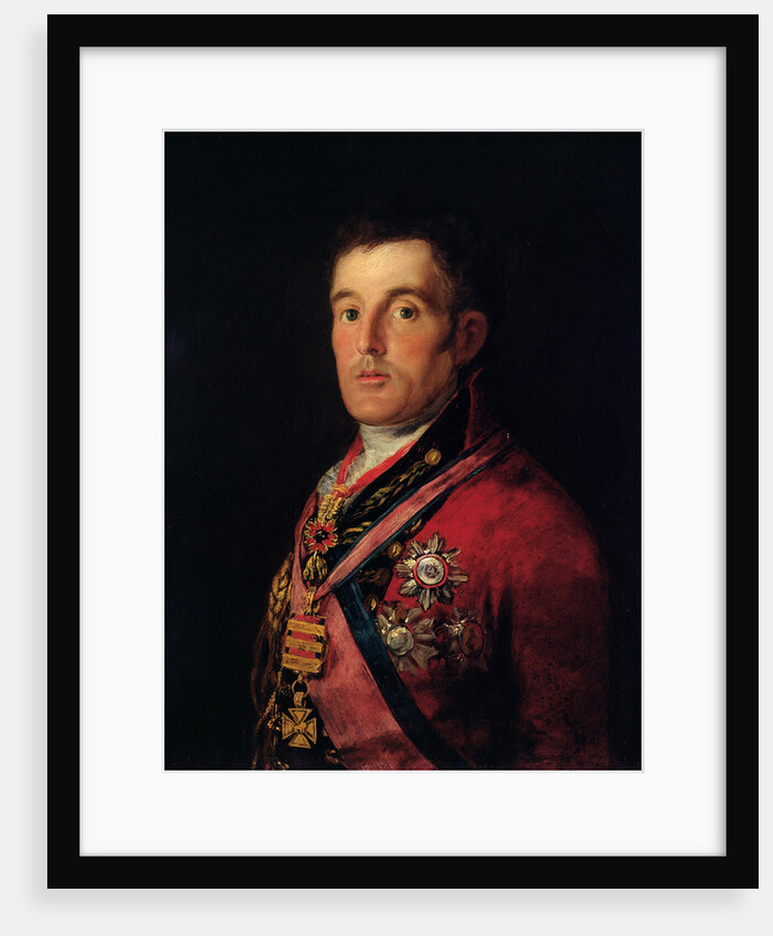 The Duke of Wellington 1812-14 by Francisco Jose de Goya y Lucientes