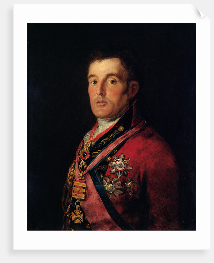 The Duke of Wellington 1812-14 by Francisco Jose de Goya y Lucientes