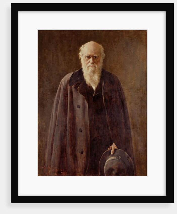 Portrait of Charles Darwin, 1883 by John Collier