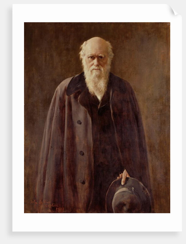 Portrait of Charles Darwin, 1883 by John Collier