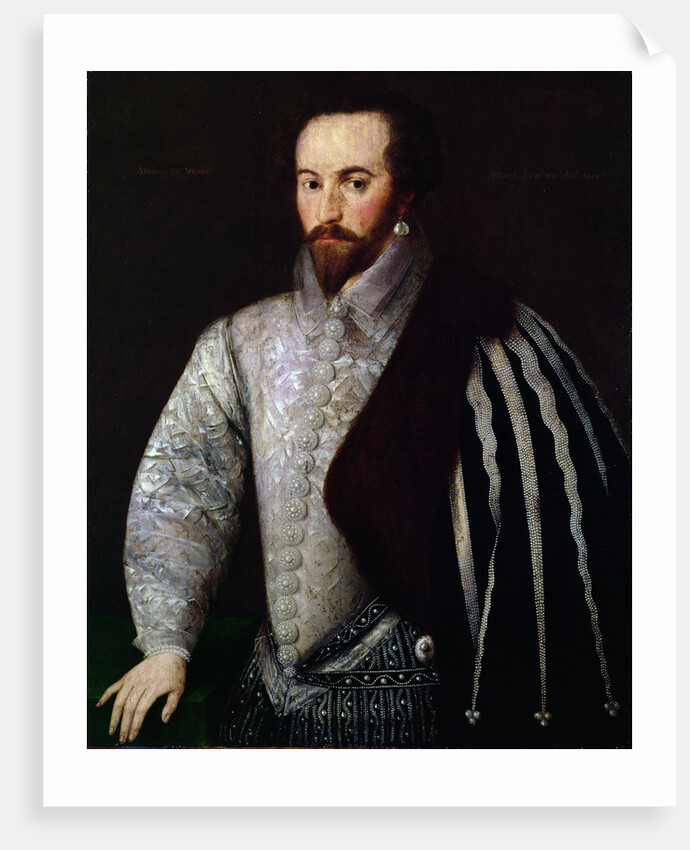 Portrait of Sir Walter Raleigh, 1588 by English School