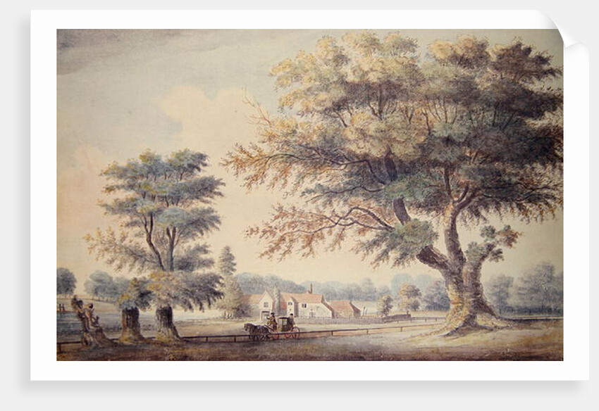 The Old Cheesecake House, north of the Serpentine, 1786 by John White