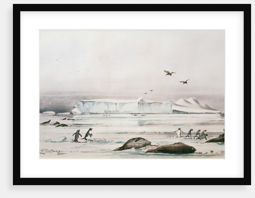 Antarctic Landscape by Edward Adrian Wilson