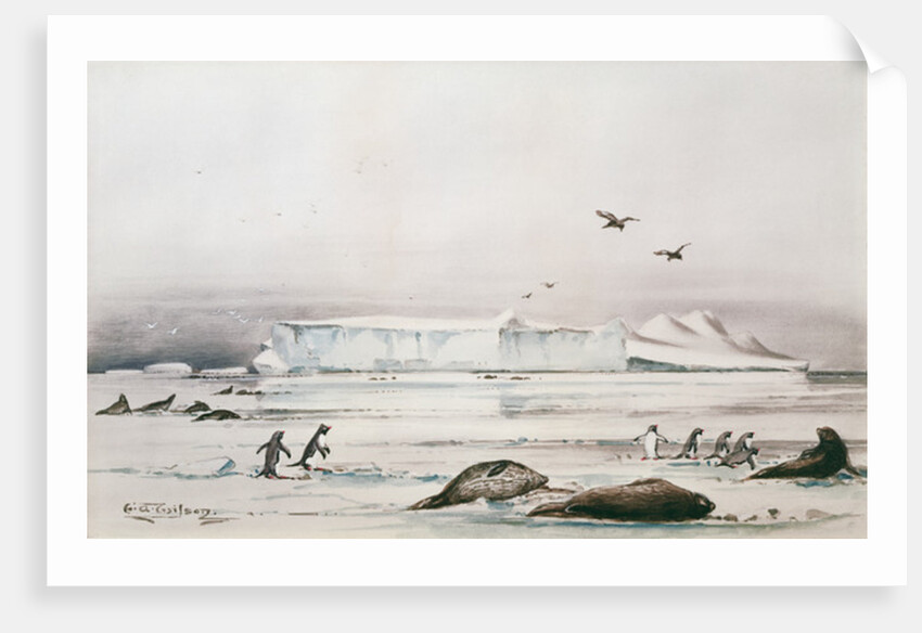 Antarctic Landscape by Edward Adrian Wilson