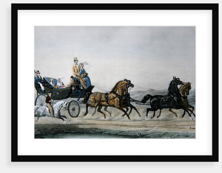 The Walk by James Barenger