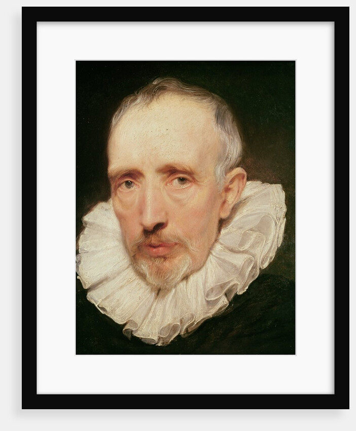 Portrait of Cornelis van der Geest, c.1620 by Anthony van Dyck