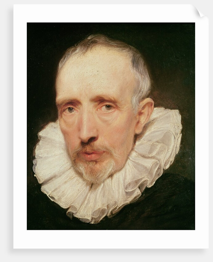 Portrait of Cornelis van der Geest, c.1620 by Anthony van Dyck