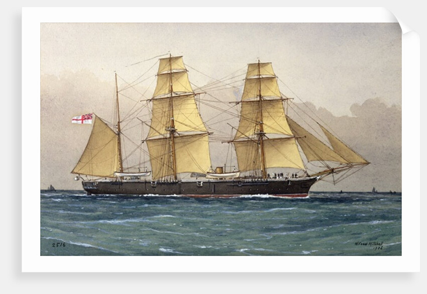 The Wild Swan, 1906 by William Frederick Mitchell