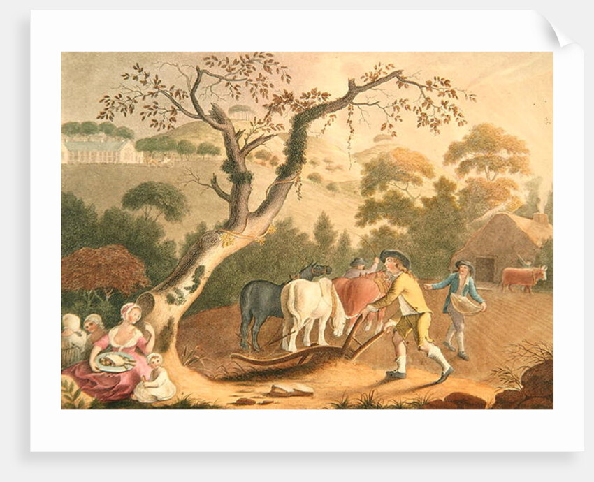 View of ploughing, sowing flax seed and harrowing, 1791 by William Hincks