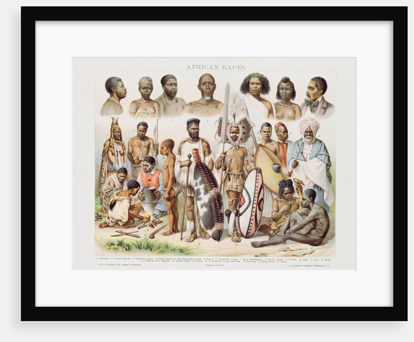 African Races by School English