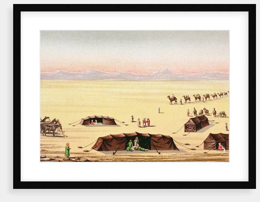 Our Desert Camp by School English