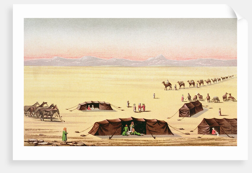 Our Desert Camp by School English