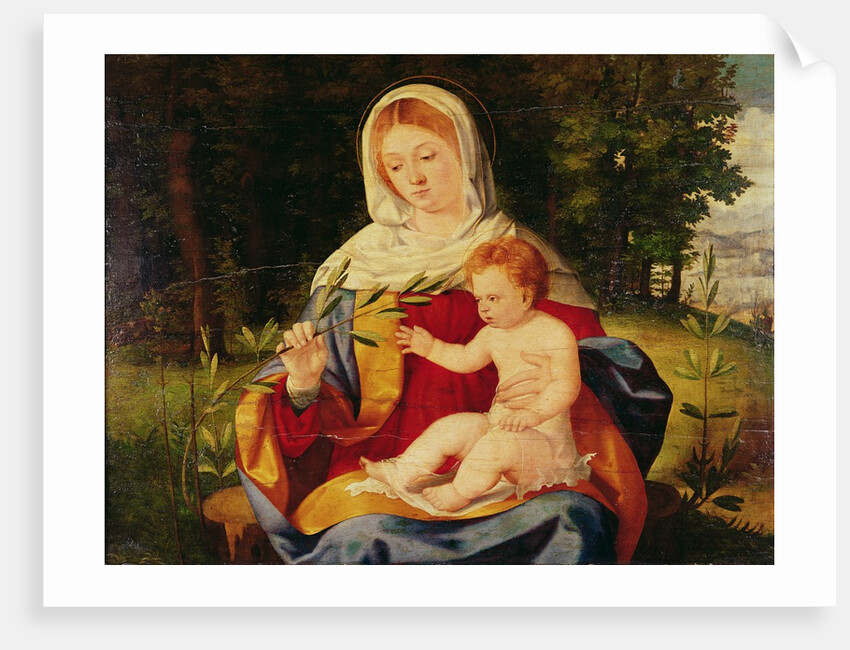 The Virgin and Child with a shoot of Olive, c.1515 by Andrea Previtali