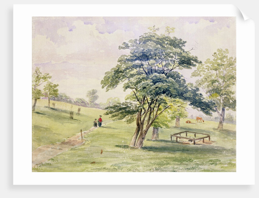 View of the North Part of Hyde Park, 1820 by English School
