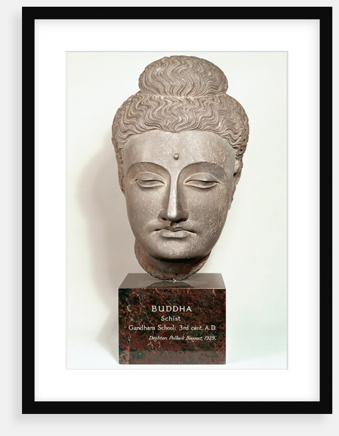 Head from a statue of the Buddha, from Gandhara, north-west India by Indian School