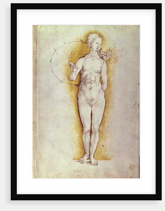 Female nude by Albrecht Dürer or Duerer
