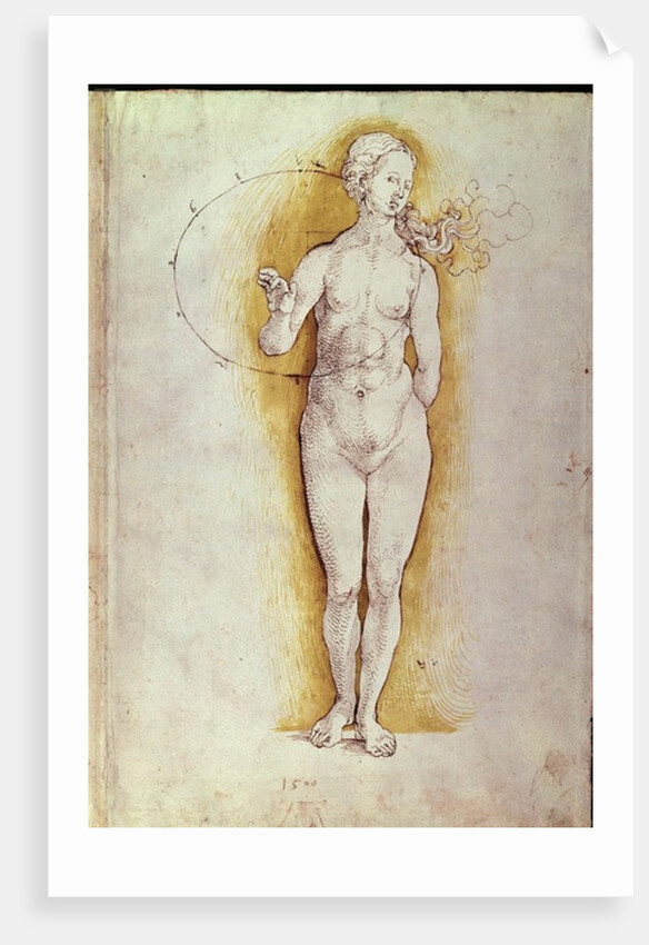 Female nude by Albrecht Dürer or Duerer