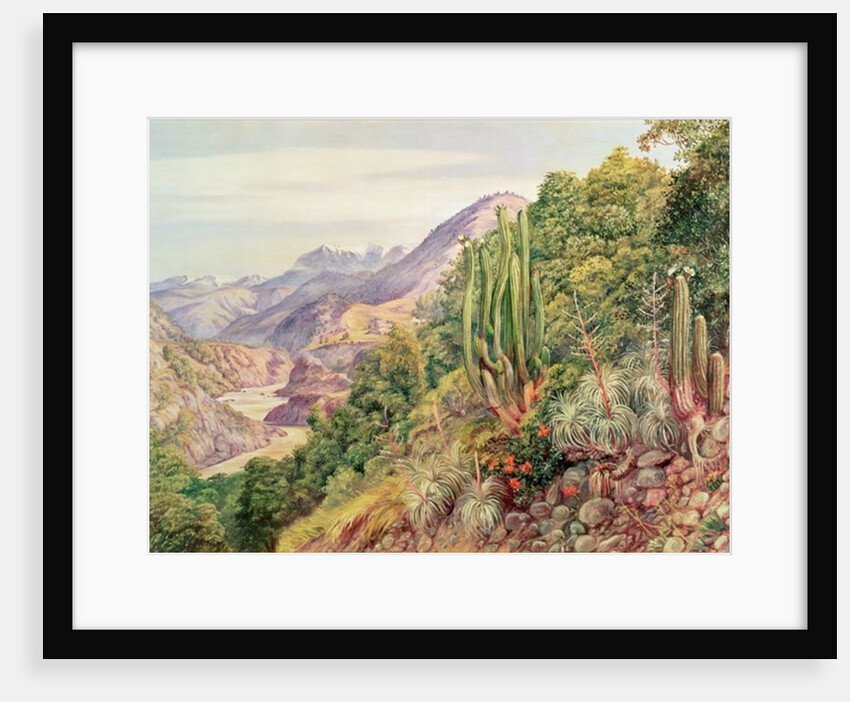 The Streams of Languenas in the Cordellera, Chile by Anonymous Anonymous