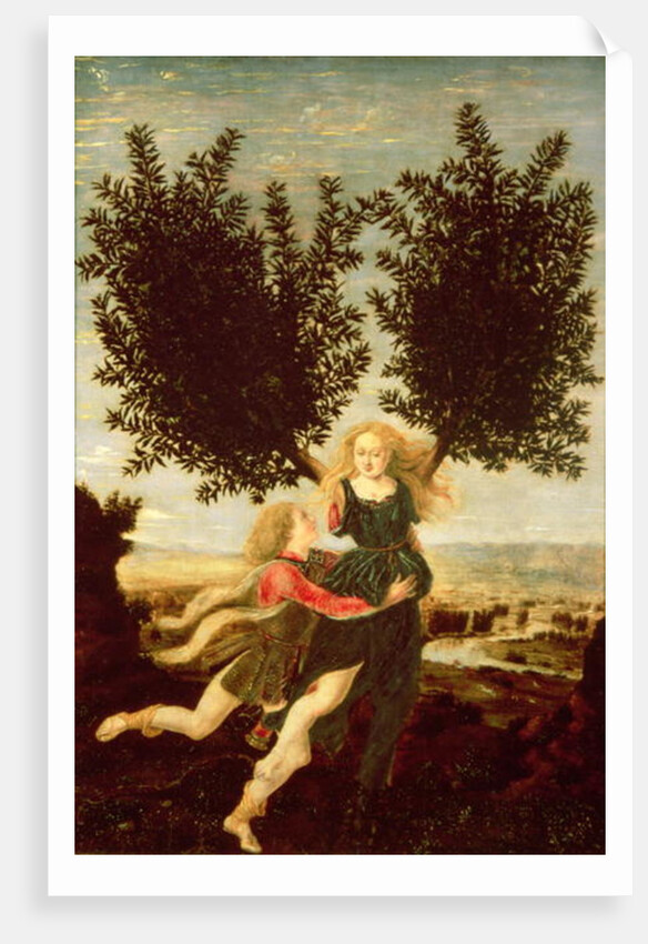 Daphne and Apollo, c.1470-80 by Antonio Pollaiuolo