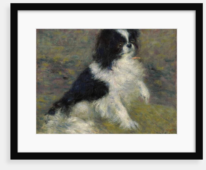 Tama, the Japanese Dog, c.1876 by Pierre Auguste Renoir