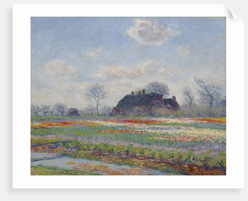 Tulip Fields at Sassenheim, 1886 by Claude Monet